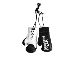 Kanong Hanging Boxing Gloves : Black