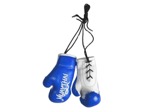 Kanong Hanging Boxing Gloves : Blue