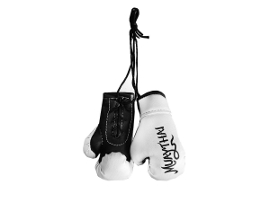 Kanong Hanging Boxing Gloves : White